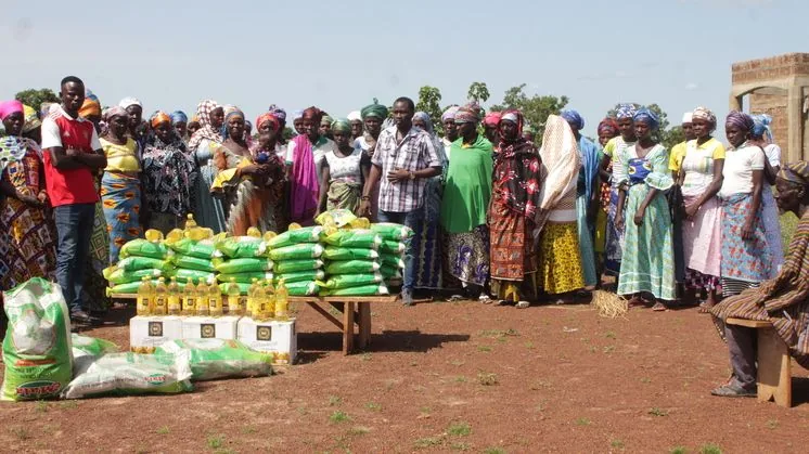 Agricultural staple food relief in Ghana