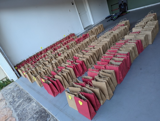 Hygiene Bags - 912 Gifted
